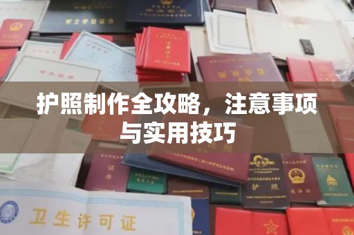 南海护照制作全攻略，注意事项与实用技巧