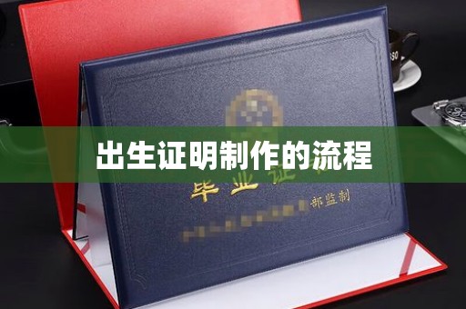 南海出生证明制作的流程