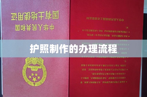 南海护照制作的办理流程