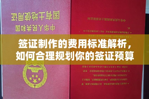 南海签证制作的费用标准解析，如何合理规划你的签证预算
