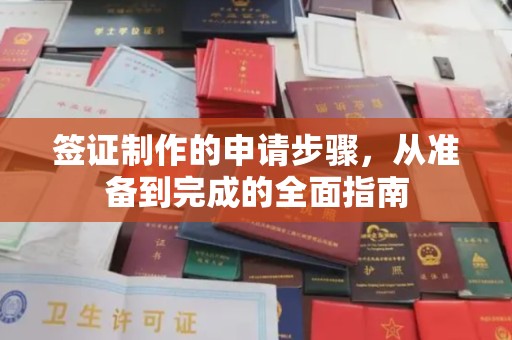 南海签证制作的申请步骤，从准备到完成的全面指南