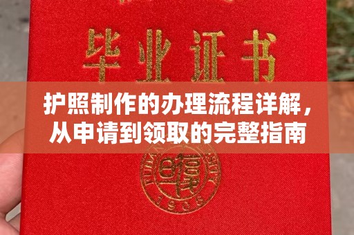 南海护照制作的办理流程详解，从申请到领取的完整指南
