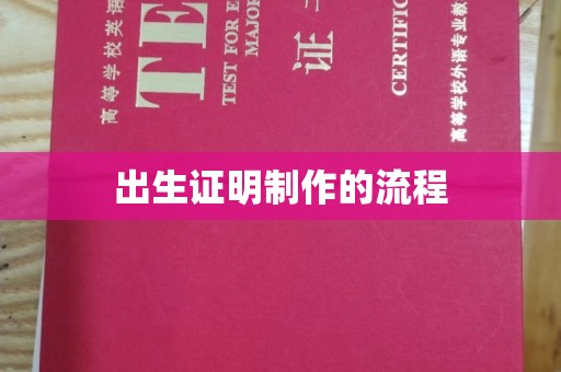 南海出生证明制作的流程
