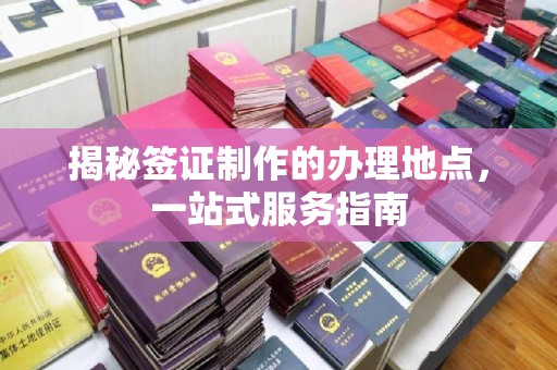 南海揭秘签证制作的办理地点，一站式服务指南
