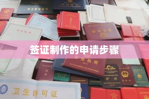 南海签证制作的申请步骤