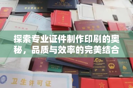 南海探索专业证件制作印刷的奥秘，品质与效率的完美结合
