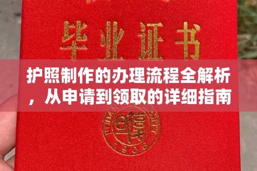 南海护照制作的办理流程全解析，从申请到领取的详细指南