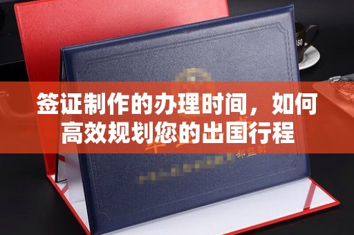 南海签证制作的办理时间，如何高效规划您的出国行程