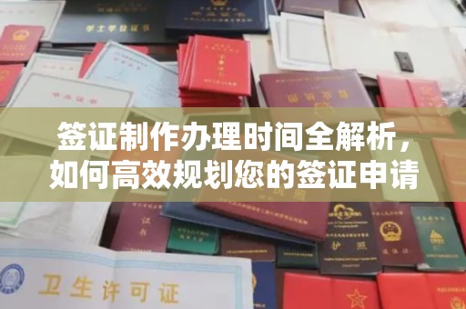 南海签证制作办理时间全解析，如何高效规划您的签证申请流程